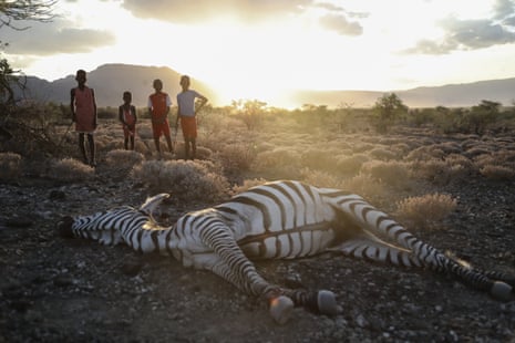 Maasai children stand beside a zebra that local people said died due to drought, as they graze their cattle at Ilangeruani village, near Lake Magadi, in Kenya on 9 November