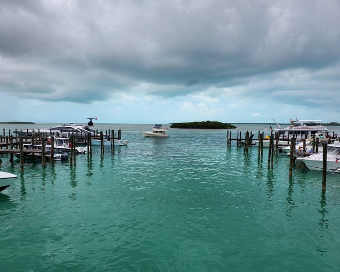 British woman dies trying to save sons on Bahamas snorkelling trip