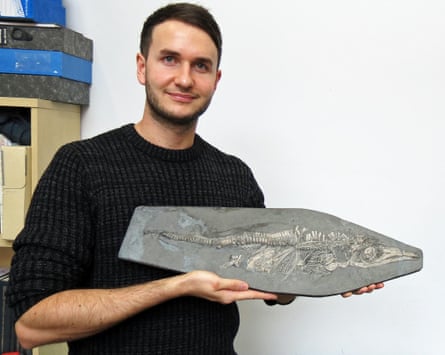 Dean Lomax with the newborn ichthyosaur from the collections of the Lapworth Museum of Geology, University of Birmingham