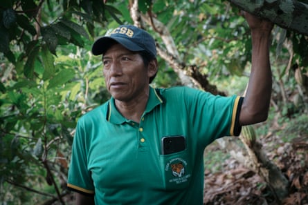 A man in a green t-shirt rests a hand on a tree branch.