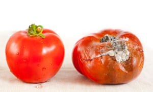 ‘Use-by dates are usually applied to fresh food that may make you ill.’