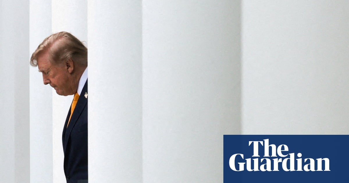 Legal veterans lead fightback against Trump’s ‘full-out assault on democracy’