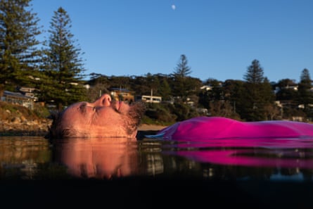 Graham Russell floating face up in ocean water