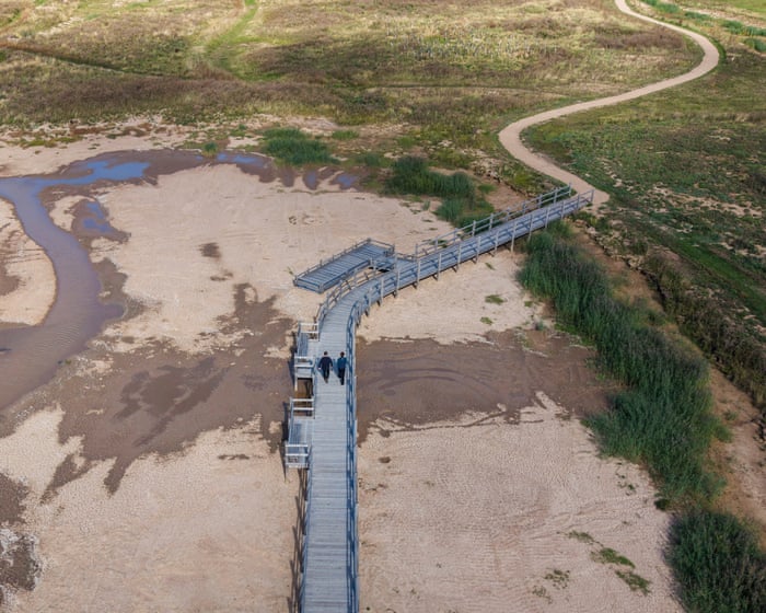 Skylarks and sandwich terns among new birdies on reserve created from ‘boring old golf course’