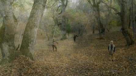 People stand in a forest