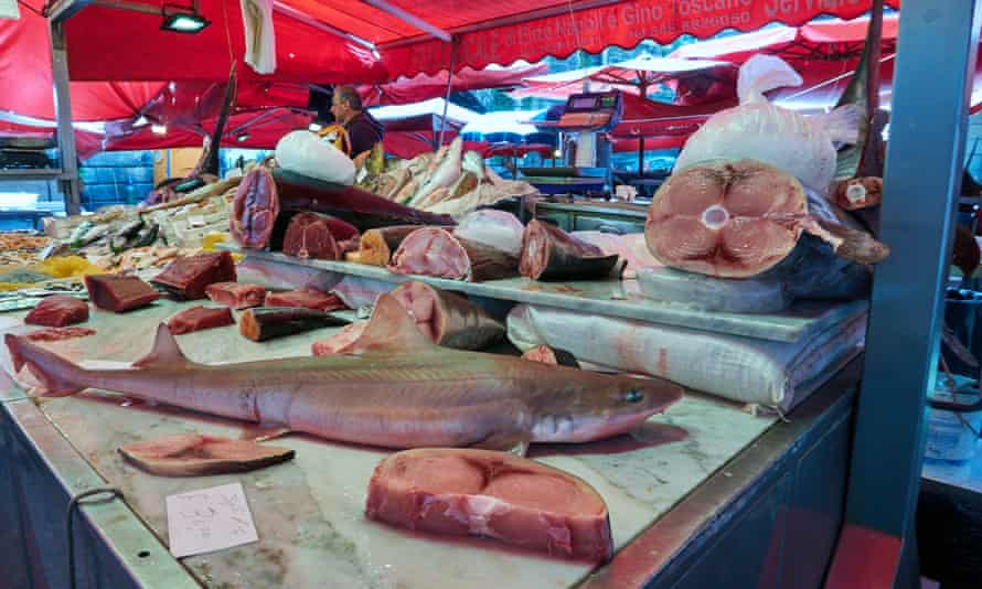 Fish market in Catania, Sicily