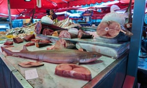 Species such as tuna and shark on sale at the fish market in Cartagena, Sicily.