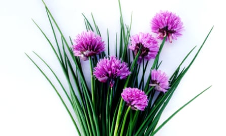 Full of flavour: as all alliums are closely related, they produce most of the same flavour compounds.