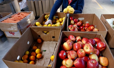A volunteer sorts through fruits and produce at the Alameda Food Bank in California. 