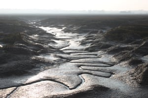 Patterns in the mud, Old Hall Marshes, Essex