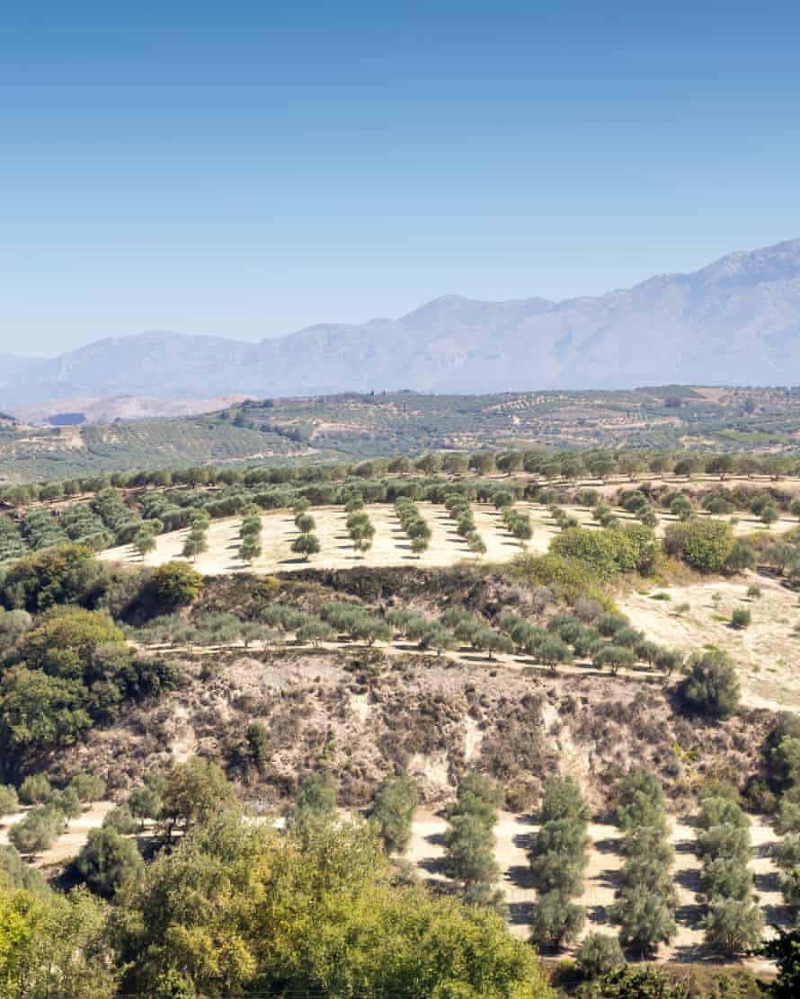 The panoramic views of the mountains, the olive groves in the countryside.