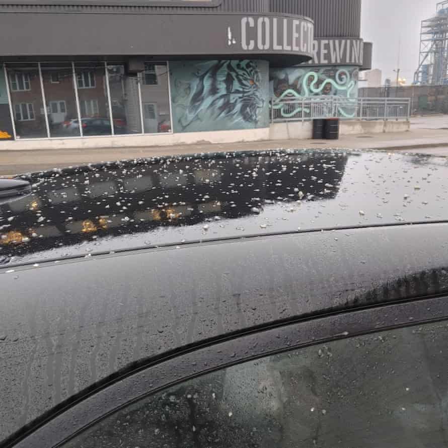 Close up of car roof littered with soybean husks