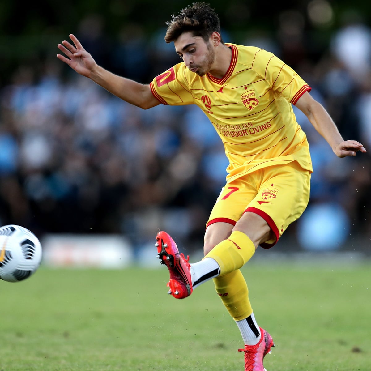 Gay footballer Josh Cavallo would be 'scared' to play at World Cup in Qatar | World Cup 2022 | The Guardian