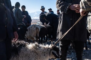 Men sell goats and sheep in Sary-Mogol