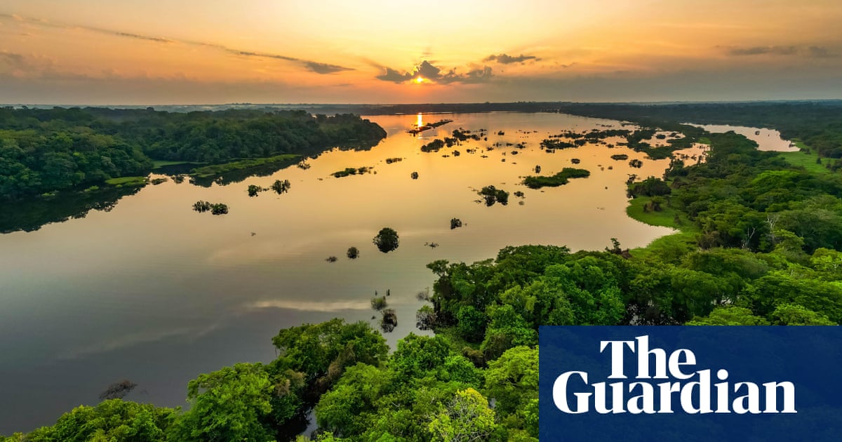 EU may allow carbon credits from developing nations to count towards climate goals