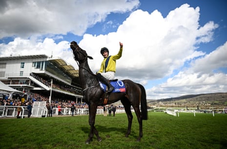 Cheltenham Festival 2023: Constitution Hill goes for glory in Champion Hurdle – live | Cheltenham Festival 11 Jockey Michael O'Sullivan celebrates on Marine Nationale after winning the Supreme Novices' Hurdle.