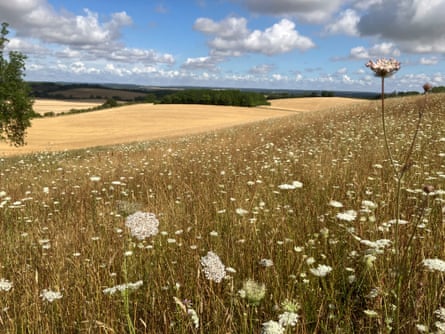 Field Margin Hunting Grounds