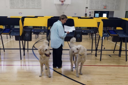 woman and dogs in a gymnasium amid voting booths