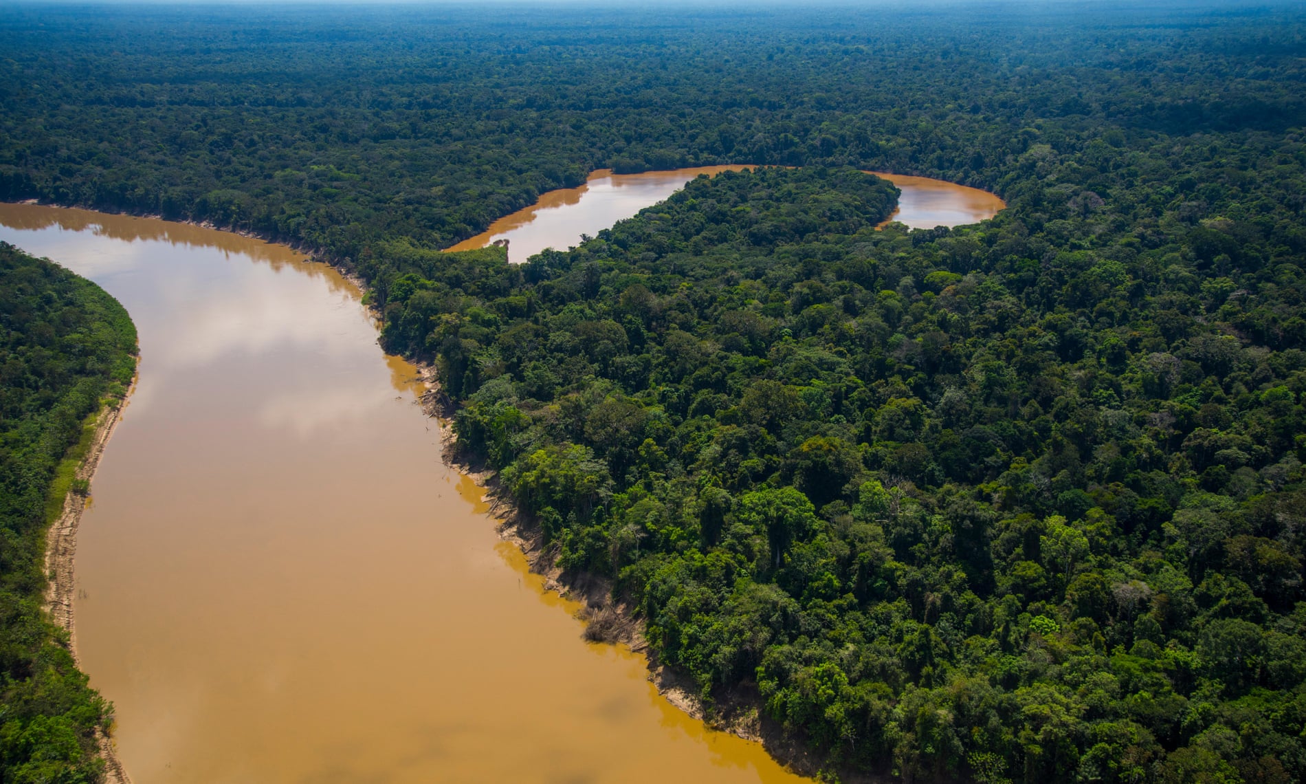 Javari Valley The Lawless Primal Wilderness Where Dom Phillips Went Missing Dom Phillips And Bruno Pereira The Guardian Javari Valley The Lawless Primal Wilderness Where Dom Phillips Went Missing Dom Phillips And Bruno Pereira The Guardian