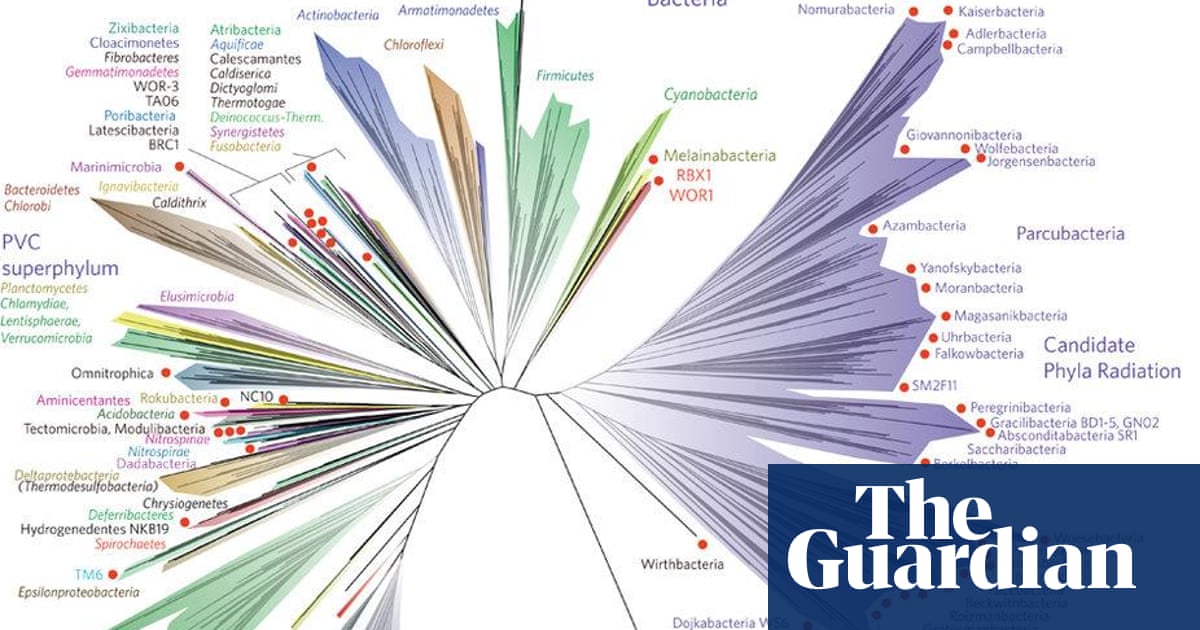 The tree of life: with Darwin from Genesis to genomics ...