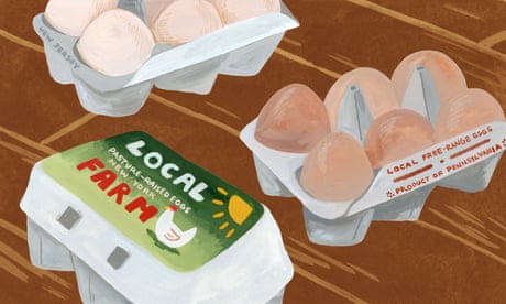 Illustration of 'local' egg cartons.