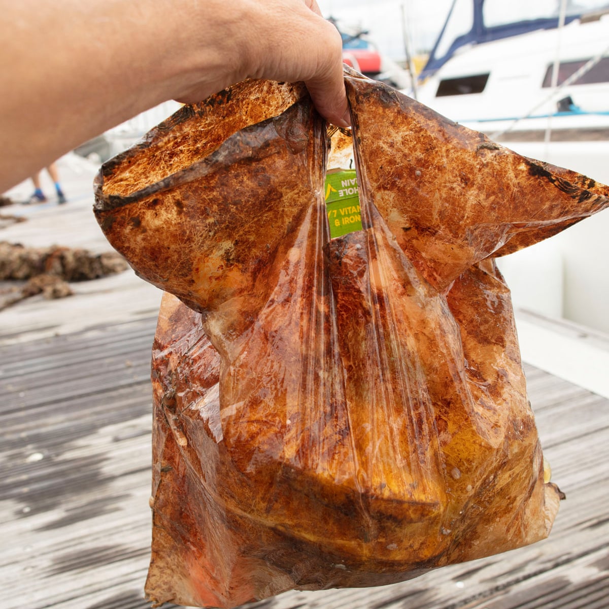 Biodegradable Plastic Bags Survive Three Years In Soil And Sea Plastic Bags The Guardian Biodegradable Plastic Bags Survive Three Years In Soil And Sea Plastic Bags The Guardian
