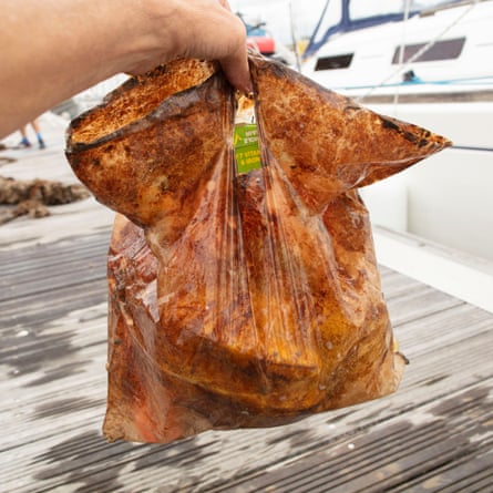 Um saco de plástico «biodegradável», após três anos no ambiente marinho, que claramente não se degrada de forma significativa.