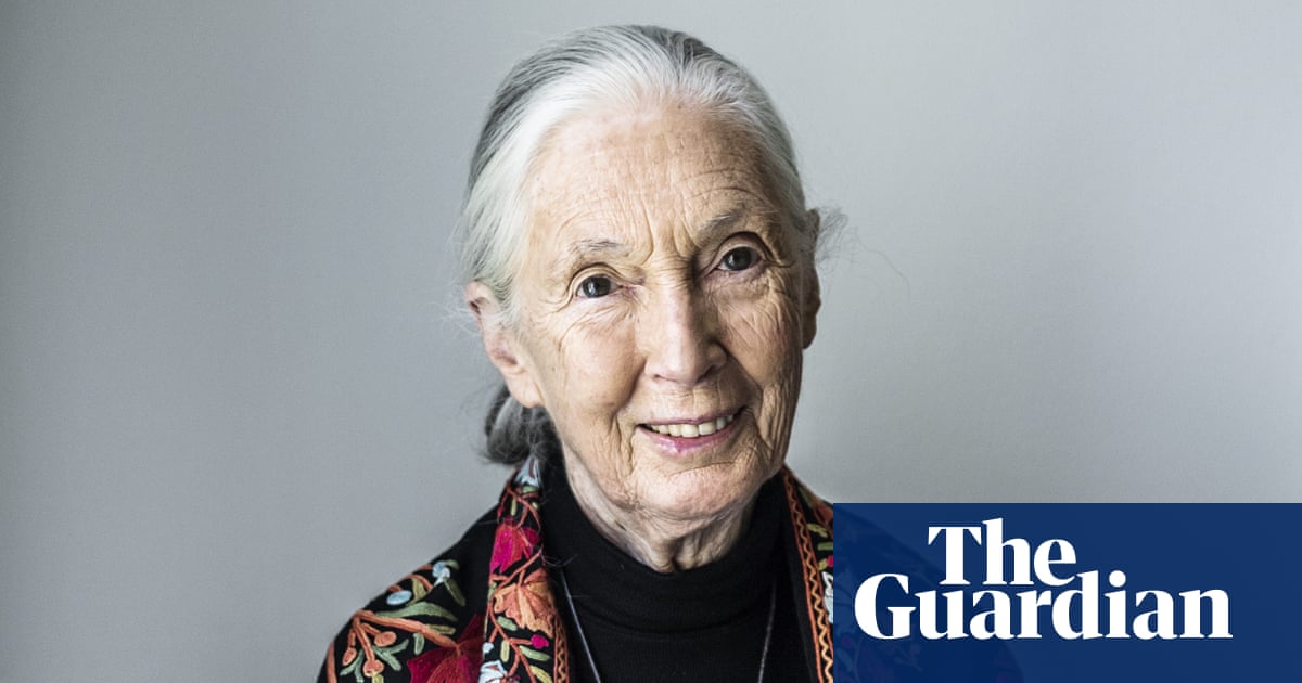 Jane Goodall on fires, floods, frugality and the good fight: ‘People have to change from within’