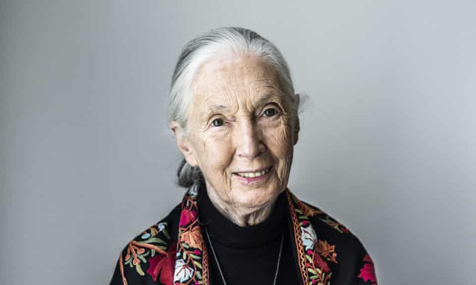 Jane Goodall: ‘I’m not going to give in. I’ll die fighting, that’s for sure.’