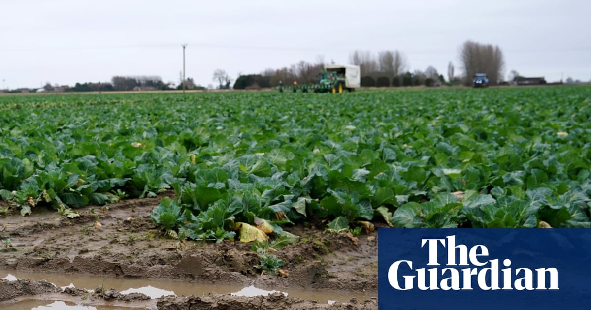 Farmer confidence at lowest in England and Wales since survey began, NFU says | Food & drink industry
