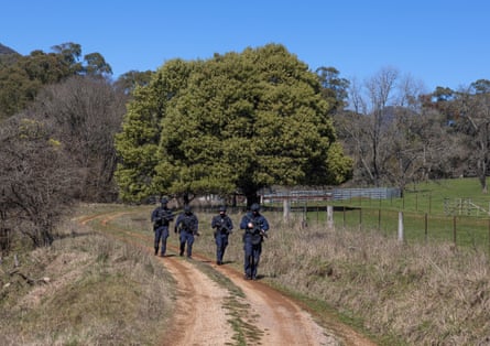 Heavily armed police with sniffer dogs search a property along the Buckland Valley Road