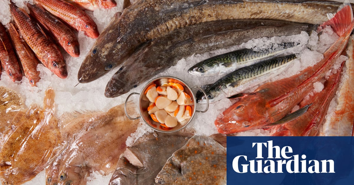 Goodbye cod, hello herring: why putting a different fish on your dish will help the planet | Fish