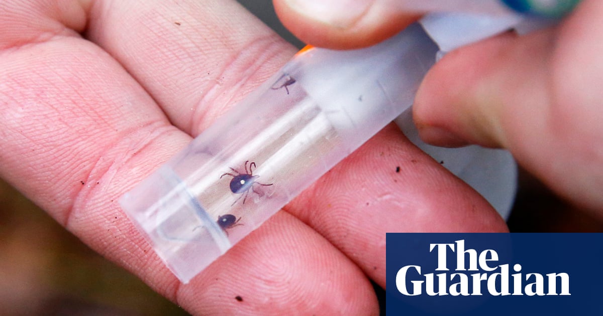 ‘Explosive increase’ of ticks that cause meat allergy in US due to climate crisis | US news ‘Explosive increase’ of ticks that cause meat allergy in US due to climate crisis | US news