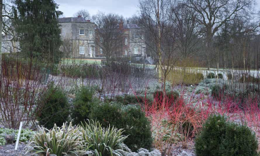 Early bloomers: 10 of the best UK gardens for late winter and early spring | Travel 1 The gardens at Mottisfont.