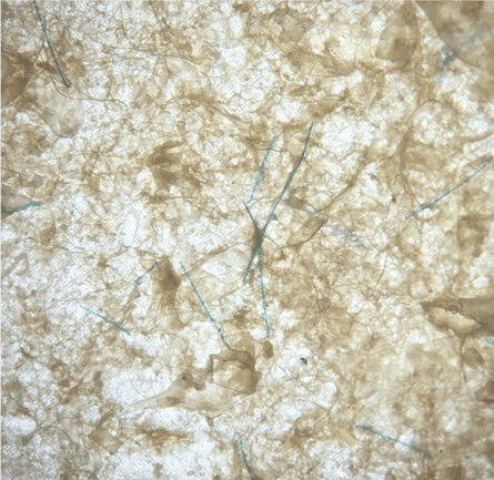 Blue Olefin polypropylene fibres, probably from a fishing net.