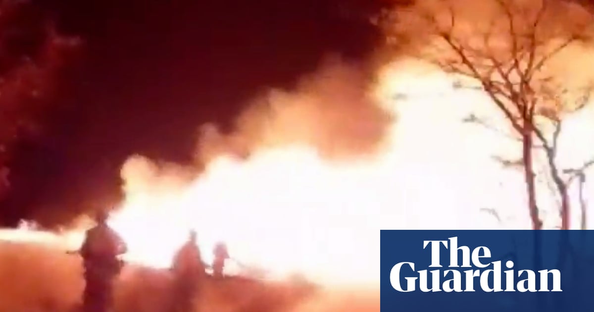 Namibia deploys army to fight wildfire burning third of Etosha game reserve