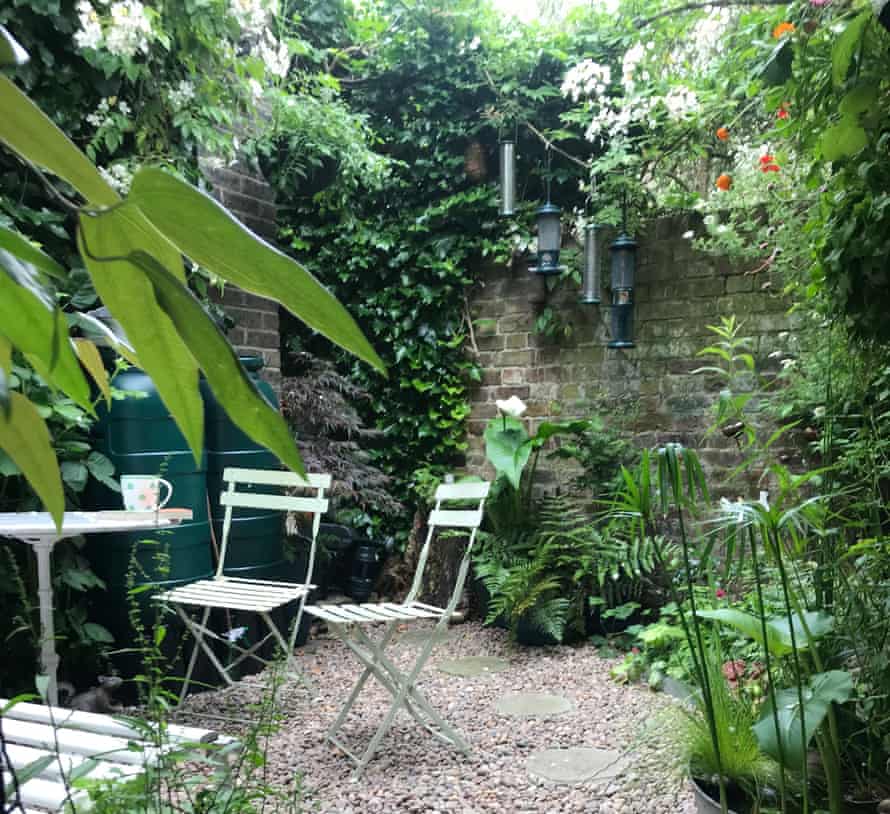 Judith's Shady Garden