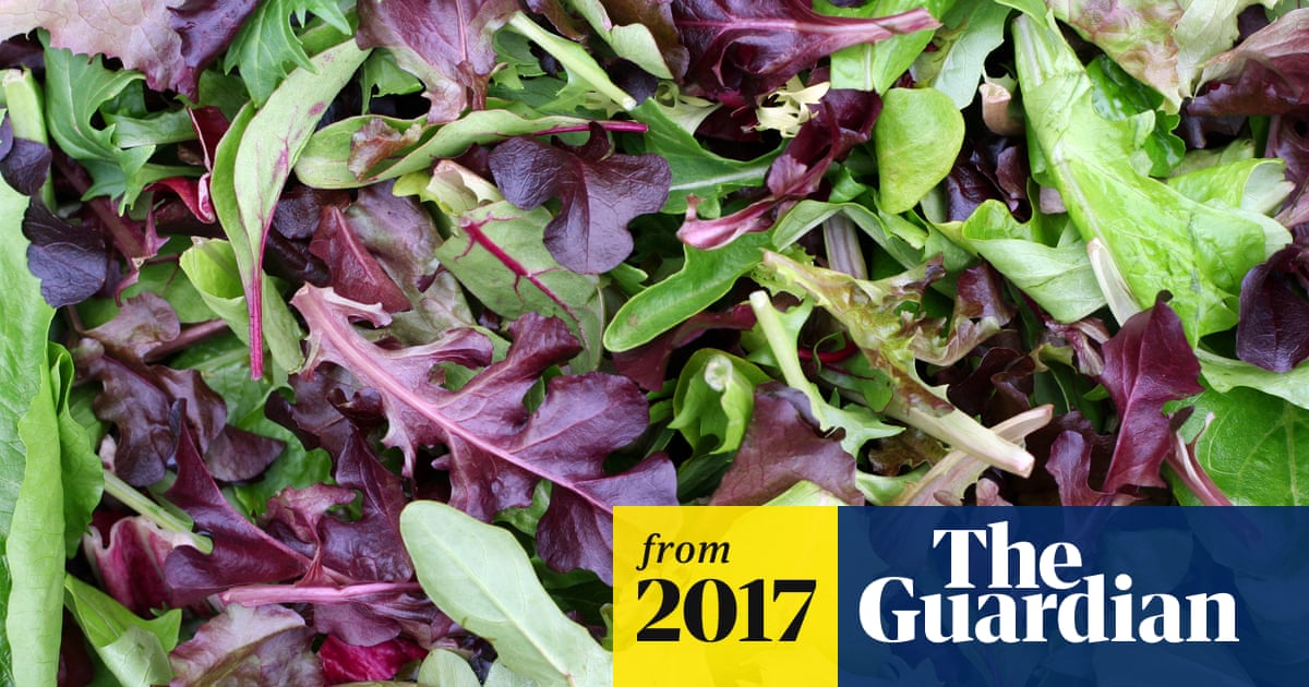Salad Days Soon Over Consumers Throw Away 40 Of Bagged Leaves
