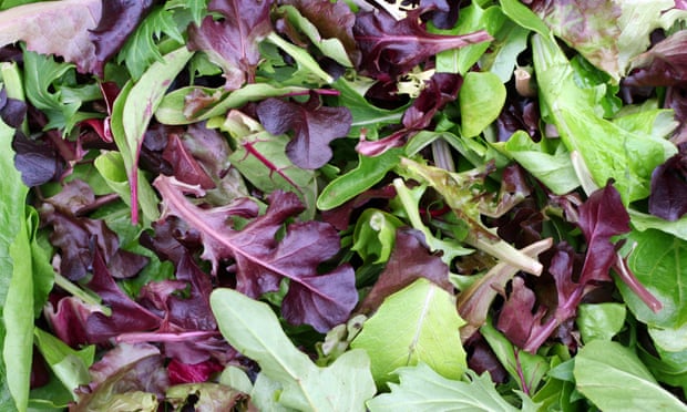 mixed colour cut salad leaves