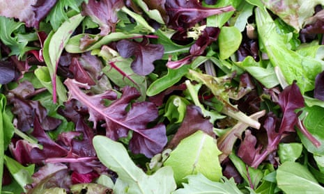 Salad crops in the UK have been hit by the heatwave and lack of rain.