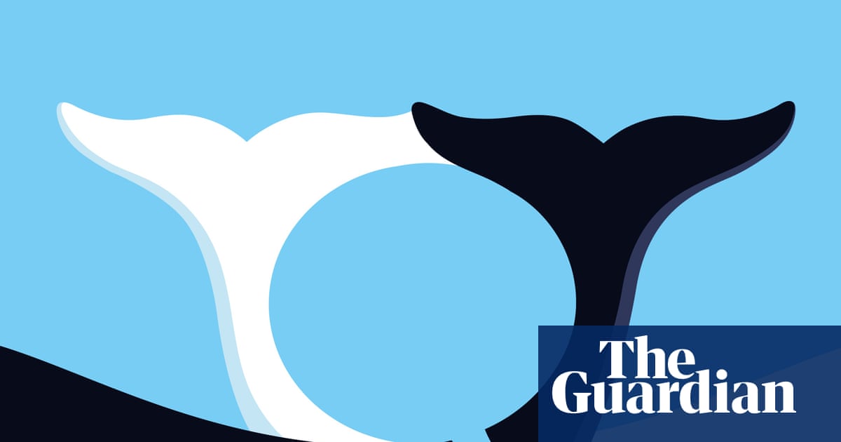 We’re close to translating animal languages – what happens then?