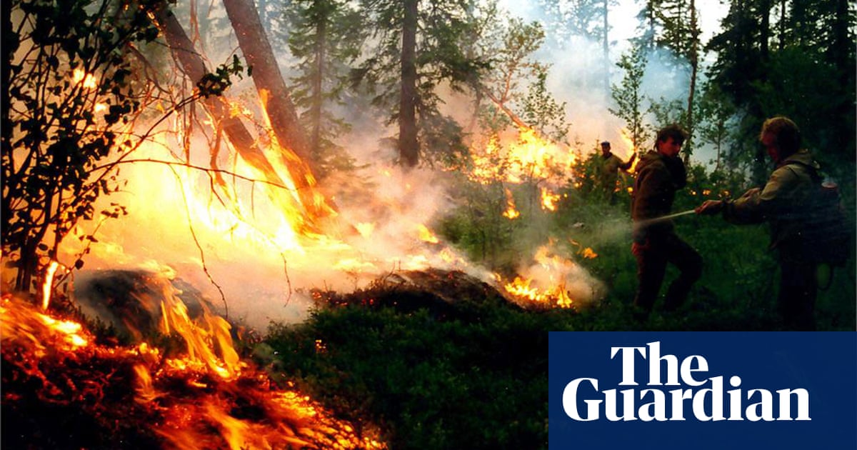 Lightning-sparked forest fires set to increase in North America