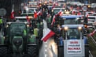 New EU nature law will fail without farmers, scientists warn