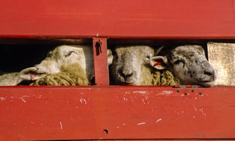 Animal welfare campaigners have criticised the government’s new food strategy proposals.