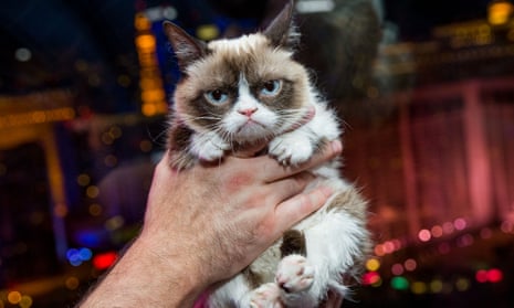 Grumpy Cat being held
