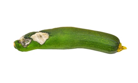 Molded vegetable marrow (zucchini), isolated on white background