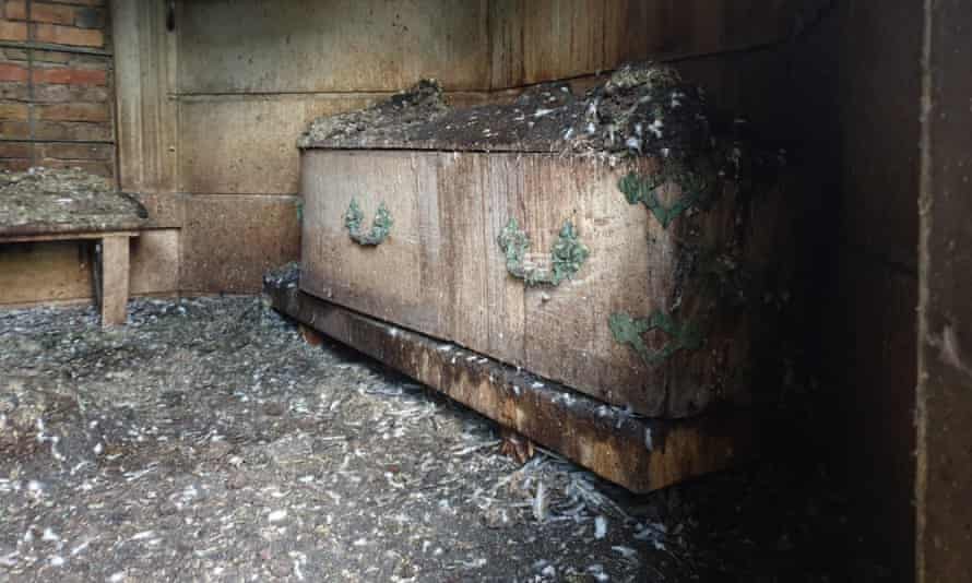 Bird droppings on a casket