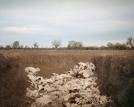 Drought Time Death Pit, Epping Farm