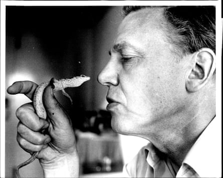 David Attenborough gets a closer look at an Australian pygmy goanna. August 15, 1984.
