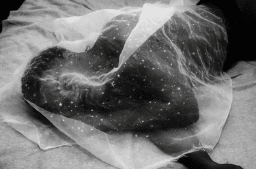 Debmalya Ray Choudhuri, The Weight of the Earth
